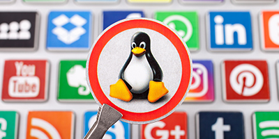 Google’s Penguin Updates & More